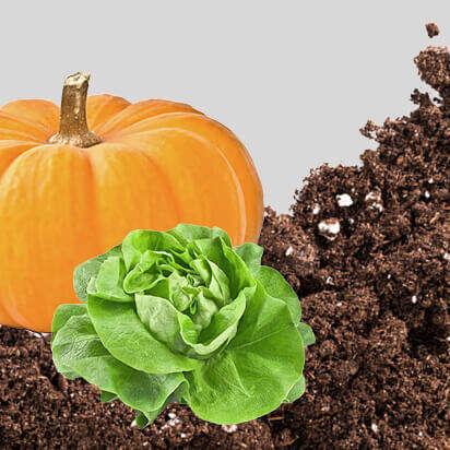 gemueseerde bubblenavibild